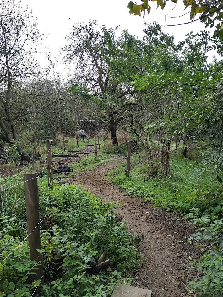 Adviesbezoek bij ons