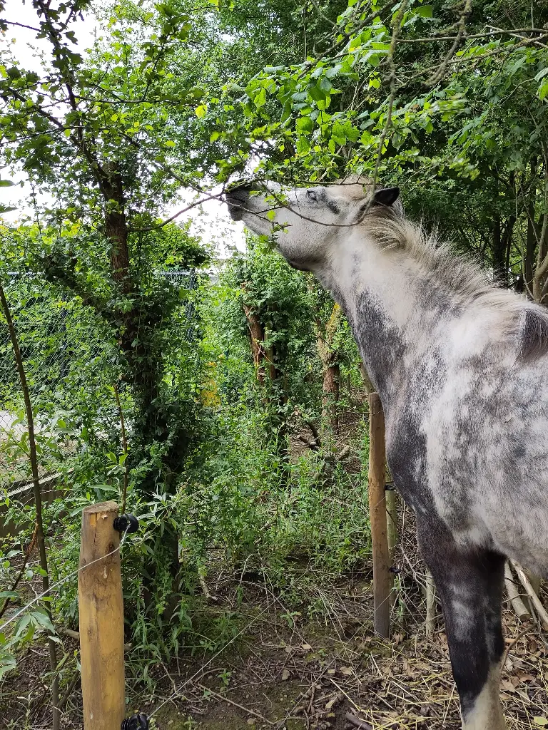 Seizoenspakket zomer