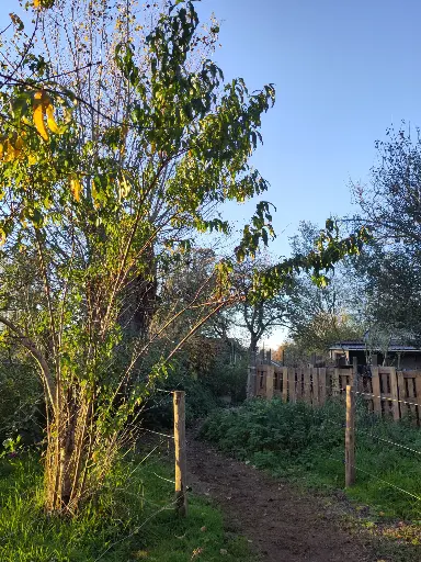 Seizoenspakket herfst