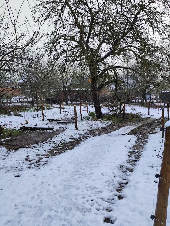 Seizoenspakket winter