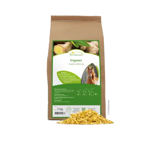 Gember (1kg)